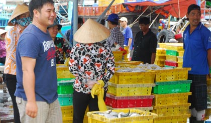 Cá biển đầy ắp tại Cảng cá Vàm Láng.