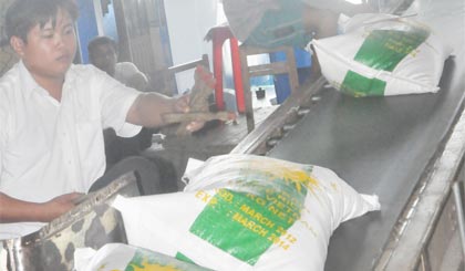 Kiểm tra gạo trước khi chuyển đến nhà máy lau bóng.