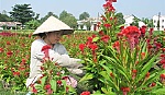 Nông dân TP. Mỹ Tho thi đua  sản xuất - kinh doanh giỏi