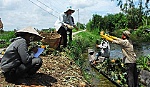 Hội thảo Nâng cao chất lượng và hiệu quả cây khóm
