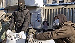 Chính quyền Ukraine quan ngại nguy cơ lệnh ngừng bắn bị phá vỡ