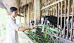2 gương mặt tiêu biểu trong phong trào 