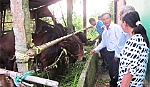 Xã Đăng Hưng Phước nỗ lực hoàn thành tiêu chí 