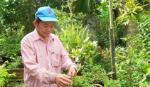 Nhân rộng phong trào xây dựng 