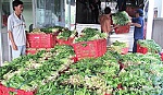 Hiệu quả từ mô hình sản xuất và tiêu thụ nông sản theo hợp đồng