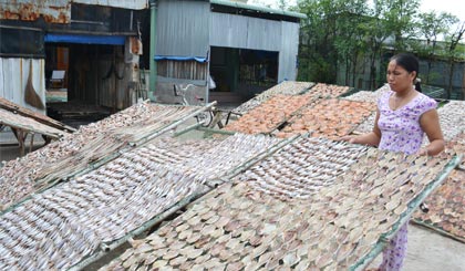 Làng nghề cá khô Vàm Láng phát triển, giải quyết việc làm cho nhiều lao động.