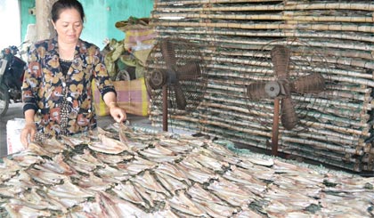 Chị Trần Thị Thu kiểm tra vỉ cá khô.
