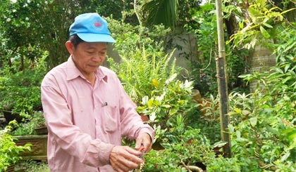 Ông Nguyễn Văn Huynh (ấp Mỹ Chánh, xã Long Tiên) bên tác phẩm bonsai  đã đoạt giải Nhì tại Hội thi Hoa kiểng đẹp.