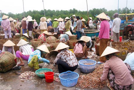 Một góc Cảng cá Vàm Láng.