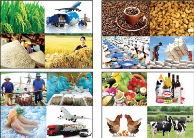 Việt Nam đứng thứ 2 trong khu vực ASEAN về các sản phẩm được CDĐL, sau Thái Lan.