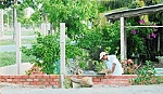 Đảng viên tranh chấp đất đai bị kiểm điểm, phê bình