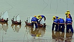 Kiên quyết phản đối Trung Quốc xây dựng đường băng trên đảo Phú Lâm