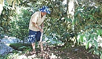 Hội Nông dân xã Ngũ Hiệp: Sát cơ sở, gần nông dân