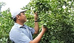 Phan Văn Được: Thanh niên sản xuất giỏi