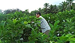 Bí thư Chi bộ ấp: Vừa hiến đất vừa mua thêm đất để làm đường