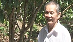 Ông Dương Thành Quản với mô hình kinh tế vườn&kinh doanh du lịch sinh thái