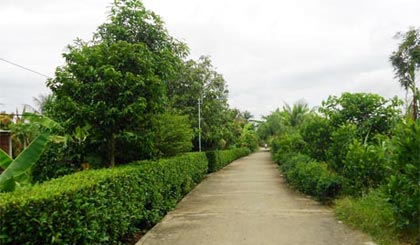 Tuyến đường Nam Nguyễn Văn Tiếp (ấp 2, xã Thạnh Lộc) vừa được mở rộng theo chuẩn NTM.