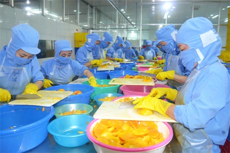 Dây chuyền sản xuất của Công ty TNHH MTV Long Uyên.