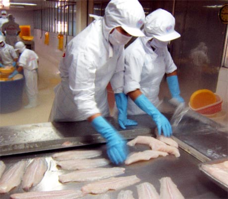 Để gia tăng giá trị cho sản phẩm cá tra thì việc đầu tư công nghệ chế biến sâu đối với các doanh nghiệp là vô cùng cần thiết trong giai đoạn hiện nay.