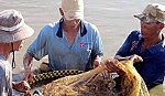 Nhiều giải pháp phát triển bền vững thủy sản khu vực ĐBSCL