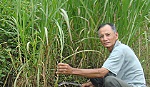 Một nông dân khá lên từ chuyển đổi cơ cấu cây trồng vật nuôi