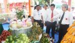 Cần nhiều giải pháp để vực dậy ĐBSCL
