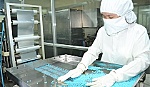 Vay vốn để làm gì?