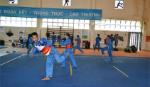 Vovinam - thế mạnh  của thể thao Tiền Giang