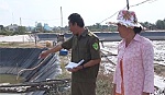 Những hậu quả do bất cẩn trong sử dụng điện