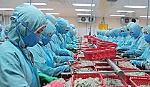 WTO ra phán quyết với 7 nội dung có lợi cho tôm Việt Nam
