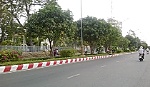 Phát triển cây xanh-môi trường xanh: Cần sự chung tay của cả cộng đồng