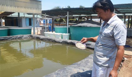 Sẵn sàng vốn phục vụ nông nghiệp, nông dân và nông thôn.