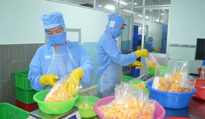 Xoài đông lạnh của Công ty TNHH MTV Long Uyên vừa được UBND tỉnh công nhận là sản phẩm công nghiệp nông thôn tiêu biểu.