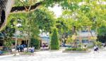 Phong trào xây dựng trường học  