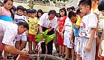 Trao tặng 5 cây bàng vuông cho các trường học