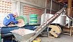 Chế tạo thành công hệ thống sấy tạo chất Chitin