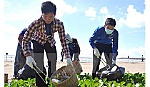 Phát động cuộc thi sáng tác ảnh về hiện trạng môi trường Việt Nam