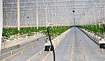 Xuất khẩu nhà tiền chế sang Úc