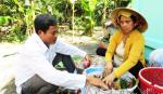 Ông Nguyễn Văn Mười làm giàu từ cây vú sữa nâu