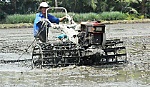 Tân Hội Đông: Nỗ lực về đích nông thôn mới vào giữa năm 2015