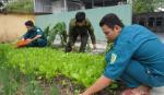 Xã Tân Đông: Điểm sáng trong phong trào thi đua Quyết thắng