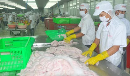 Thủy sản đã mang về 290 triệu USD trong 11 tháng qua.