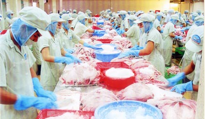 11 tháng qua xuất khẩu thủy sản mang về cho Tiền Giang 290 triệu USD. Ảnh: Phạm Nhựt Thưởng
