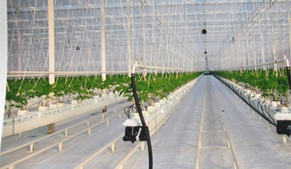 Nhà tiền chế do Công ty TNHH Chín Tạo sản xuất.