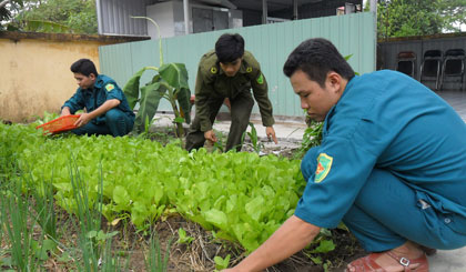 Dân quân tự vệ xã làm nhiệm vụ tuần tra (ảnh trái) và tăng gia sản xuất.
