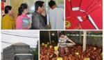 Chính sách mới có hiệu lực từ tháng 1-2015