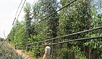 Hiểm họa khó lường từ điện 