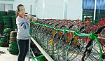Công ty TNHH SX-TM Phú Đạt: Sản phẩm 