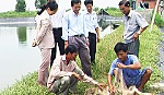 Nhiều mô hình trong lĩnh vực thủy sản đạt hiệu quả cao
