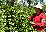 2.352 tỷ đồng cho vay xây dựng nông thôn mới